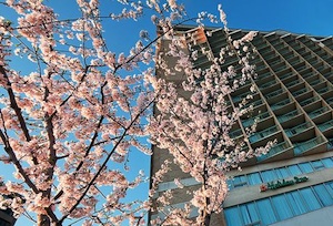 Holiday Inn ROSSLYN @ KEY BRIDGE property photo
