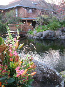 BEST WESTERN PLUS Seacliff Inn property photo