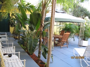 Ocean Inn property information
