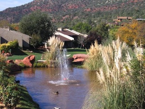 Poco Diablo Resort property information