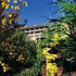 The Orchards Inn of Sedona property information